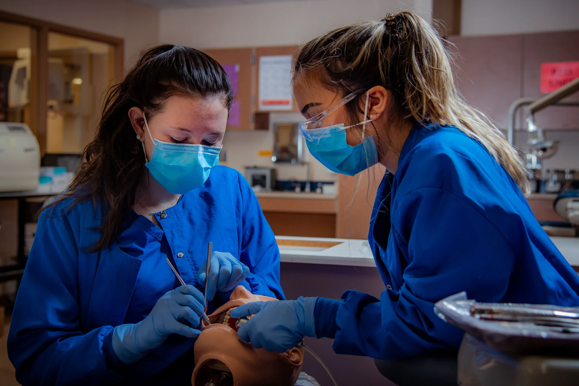 Best Dental Schools in the US (2026 Ranking)