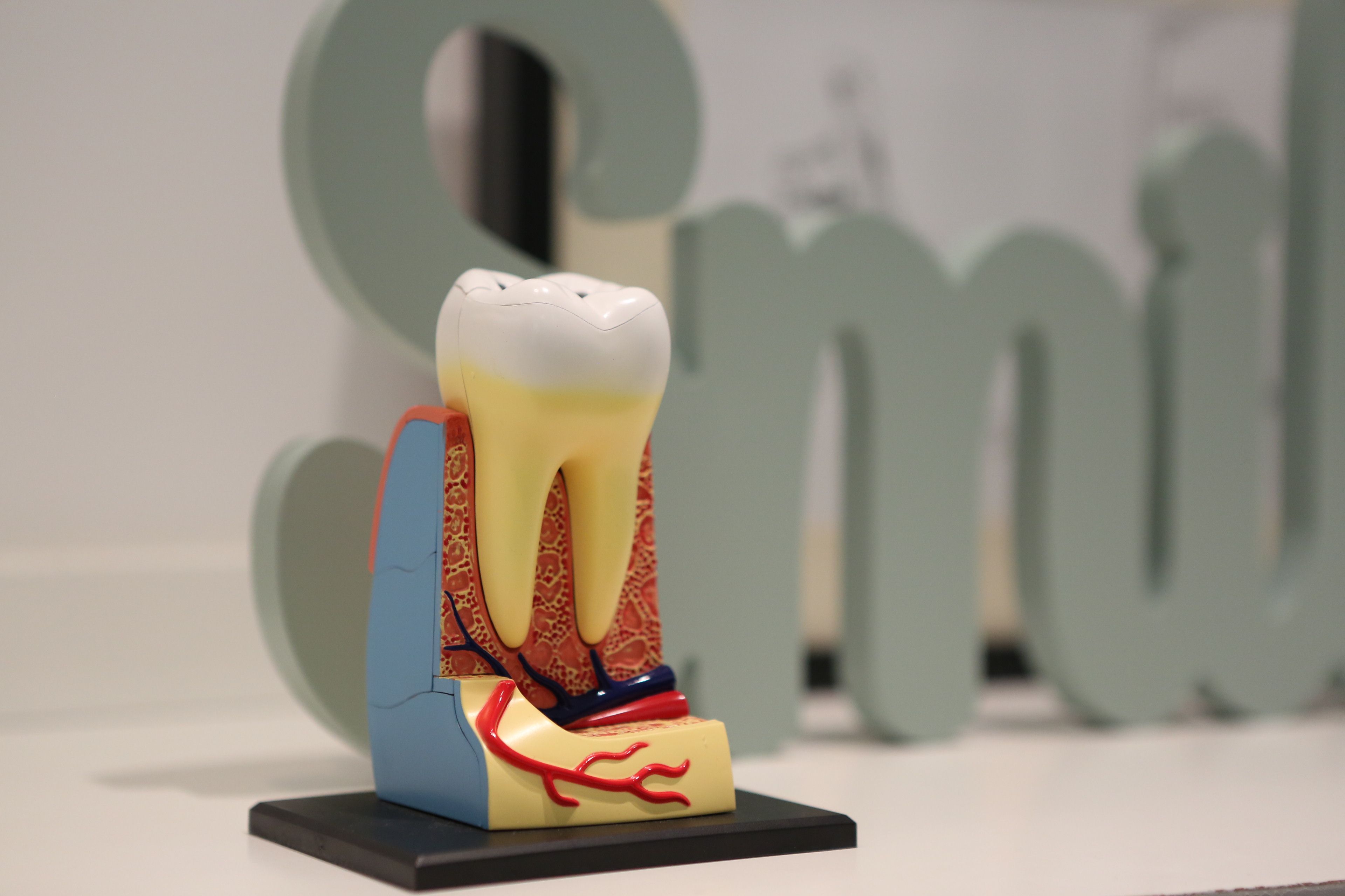 New 2026 Research Tests Pulpotomy Vs. Root Canal